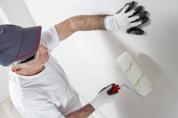 Best Water Damage & Mold Remediation  in Breckinridge Center, KY