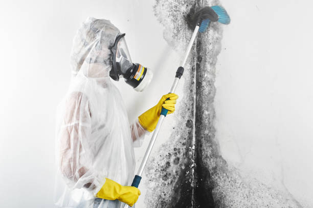 Best Indoor Air Quality Assessment  in Breckinridge Center, KY