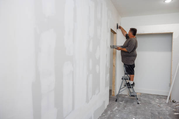 Best Airborne Mold Testing  in Breckinridge Center, KY