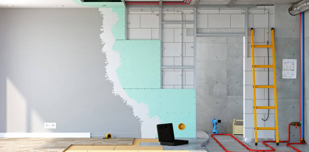 Best Black Mold Removal  in Breckinridge Center, KY