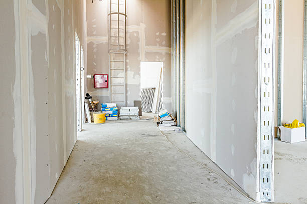 Reliable Breckinridge Center, KY Mold Removal Solutions