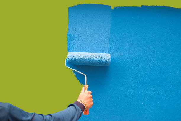 Mold Odor Removal Services in Breckinridge Center, KY